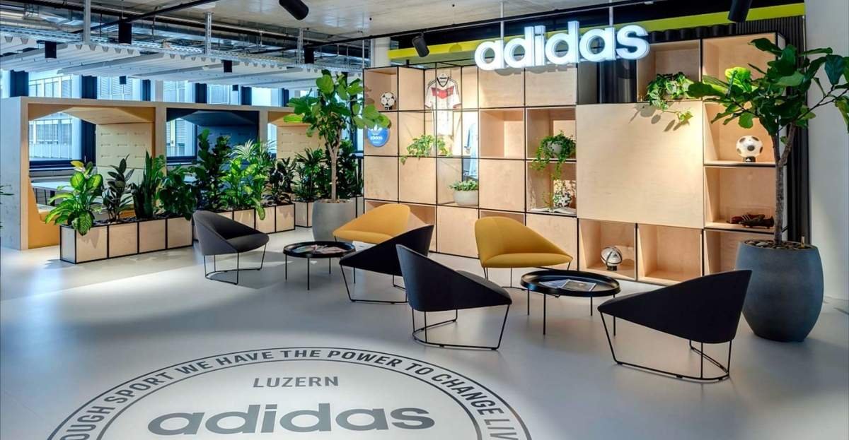What Companies Can Learn from adidas workplace culture