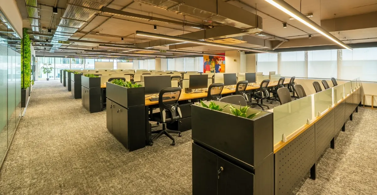 315Work Avenue - Amazing Workplaces